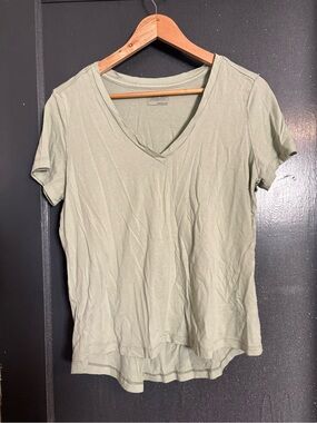 Patagonia Women's V-Neck Tee in Sage Green